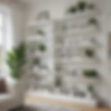 Stylish arrangement of white shelving with plants and artwork